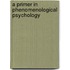 A Primer In Phenomenological Psychology