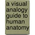 A Visual Analogy Guide to Human Anatomy