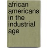 African Americans In The Industrial Age door Joe William Trotter