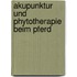 Akupunktur und Phytotherapie beim Pferd