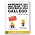 Aprende En Un Dia 101 Verbos En Gallego