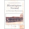 Bloomington-Normal in Vintage Postcards door Elaine J. Taylor