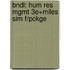 Bndl: Hum Res Mgmt 3e+Miles Sim F/Pckge