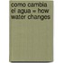 Como Cambia el Agua = How Water Changes
