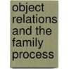 Object Relations And The Family Process door Randall S. Klein