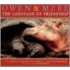 Owen & Mzee: The Language Of Friendship