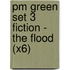 Pm Green Set 3 Fiction - The Flood (X6)