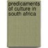 Predicaments of Culture in South Africa