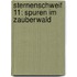 Sternenschweif 11: Spuren im Zauberwald