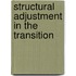 Structural Adjustment In The Transition