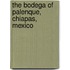 The Bodega Of Palenque, Chiapas, Mexico