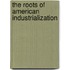 The Roots of American Industrialization