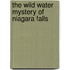 The Wild Water Mystery of Niagara Falls
