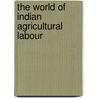 The World Of Indian Agricultural Labour door Prof.K. Siva Rama Krishna