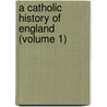 A Catholic History Of England (Volume 1) door W. Bern Mac Cabe