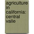 Agriculture In California: Central Valle