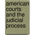 American Courts And The Judicial Process