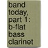 Band Today, Part 1: B-Flat Bass Clarinet