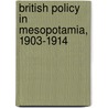 British Policy In Mesopotamia, 1903-1914 door Stuart A. Cohen
