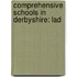 Comprehensive Schools In Derbyshire: Lad