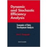 Dynamic and Stochastic Efficiency Analys door Jati Sengupta