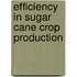 Efficiency In Sugar Cane Crop Production
