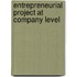 Entrepreneurial Project At Company Level