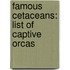 Famous Cetaceans: List Of Captive Orcas