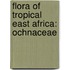 Flora Of Tropical East Africa: Ochnaceae
