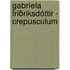 Gabríela Friðriksdóttir - Crepusculum