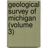 Geological Survey Of Michigan (Volume 3) door Michigan Geological Survey