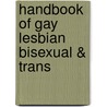 Handbook Of Gay Lesbian Bisexual & Trans door Swan Swan