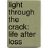 Light Through The Crack: Life After Loss