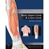 Lippincott's Concise Illustrated Anatomy