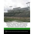 Marshall University Thundering Herd Foot