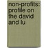 Non-Profits: Profile On The David And Lu