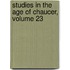 Studies In The Age Of Chaucer, Volume 23