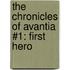 The Chronicles Of Avantia #1: First Hero