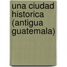 Una Ciudad Historica (Antigua Guatemala) door Francisco Casta eda