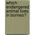 Which Endangered Animal Lives In Borneo?