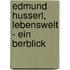 Edmund Husserl, Lebenswelt - Ein Berblick