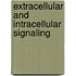 Extracellular And Intracellular Signaling