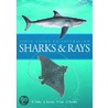Field Guide To Australian Sharks And Rays door Ross K. Daley