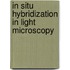 In Situ Hybridization in Light Microscopy