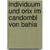 Individuum Und Orix Im Candombl Von Bahia