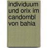 Individuum Und Orix Im Candombl Von Bahia door Kira Gehrmann