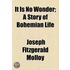It Is No Wonder; A Story Of Bohemian Life