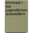 Kriminalit T Bei Jugendlichen Aussiedlern