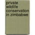 Private Wildlife Conservation In Zimbabwe