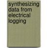 Synthesizing Data From Electrical Logging door Xinyu Song